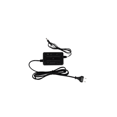 Cargador Jaltest JT3013 | Accesorios