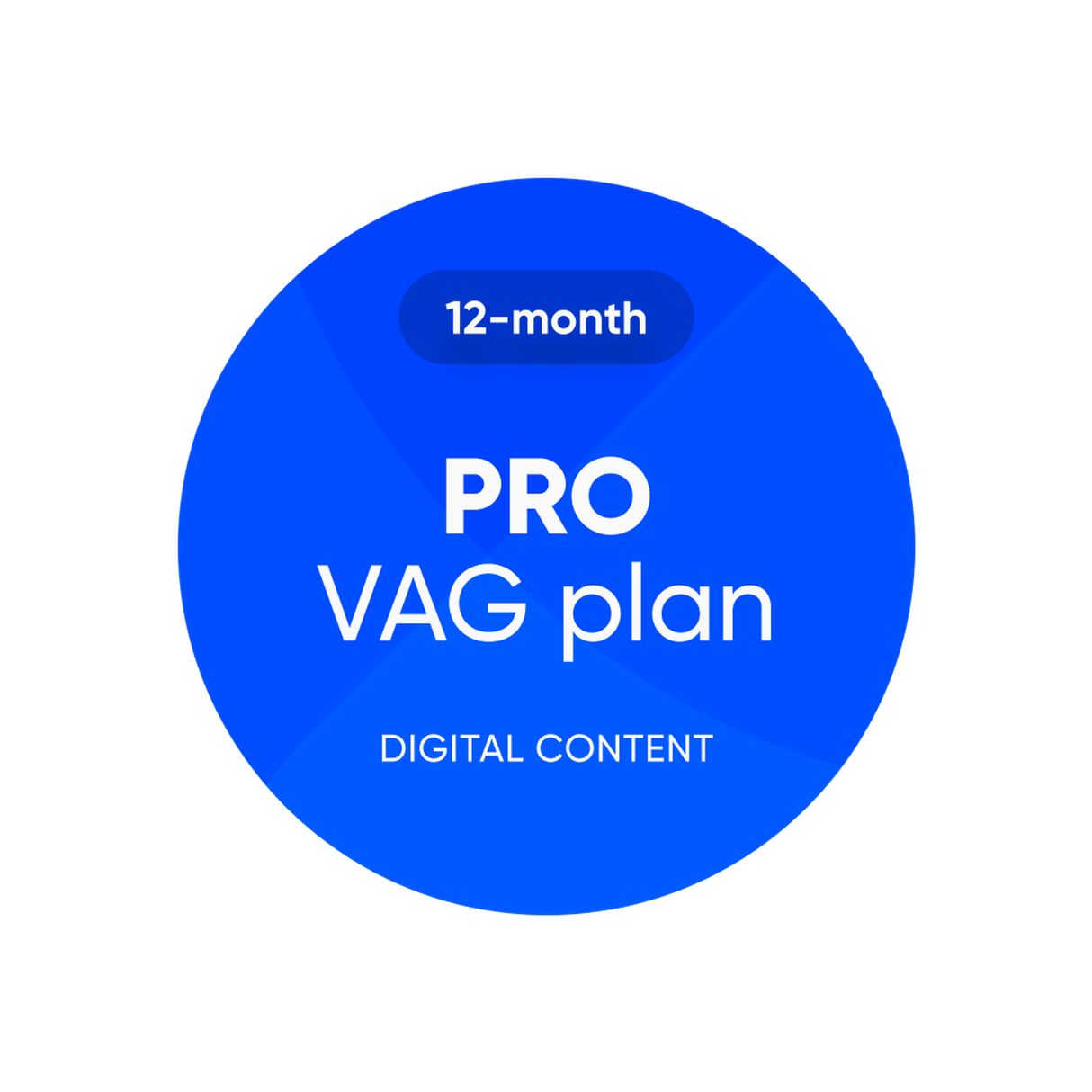 OBDeleven | Plan Pro VAG | Licencia de software