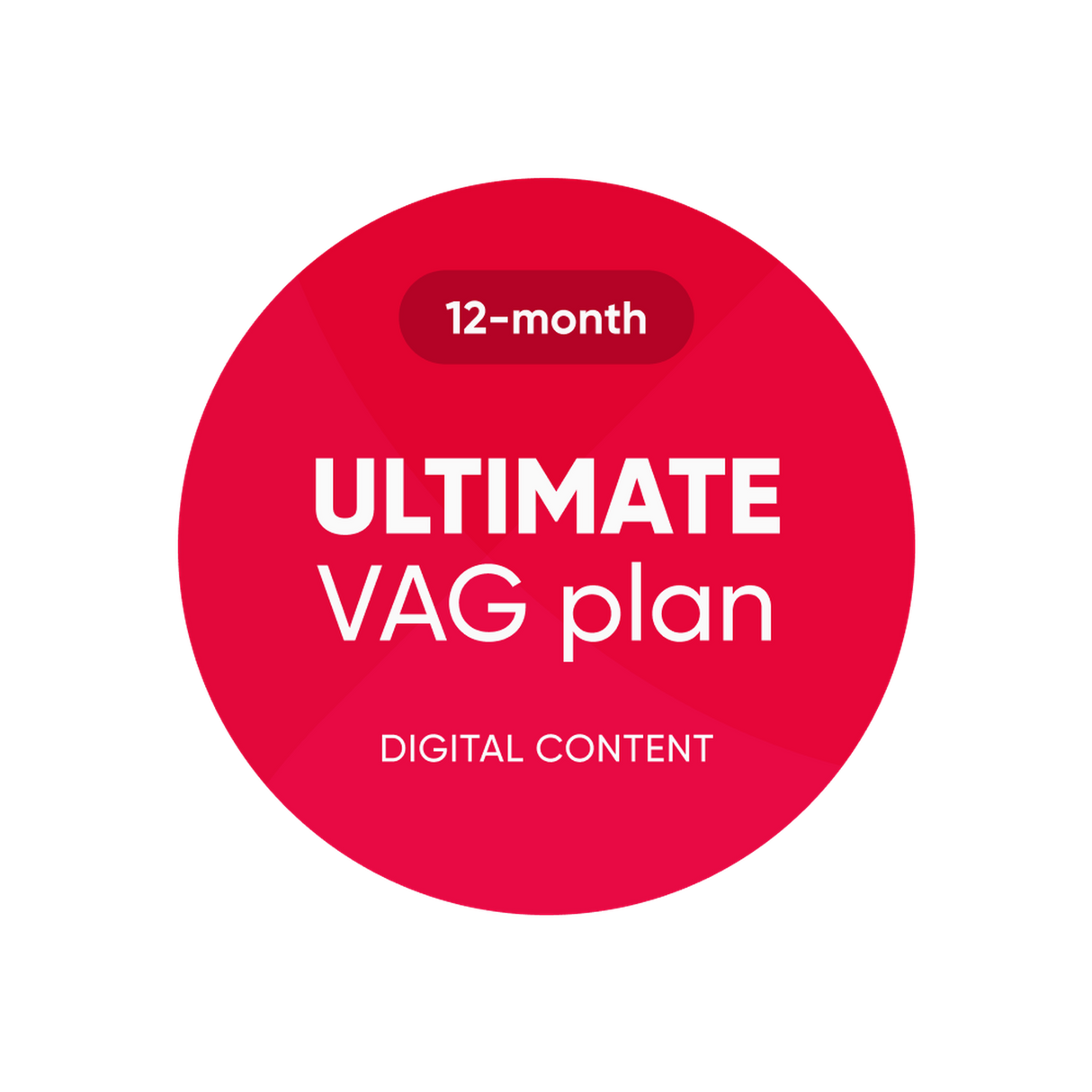 OBDeleven | Plan VAG Ultimate | Licencia de software