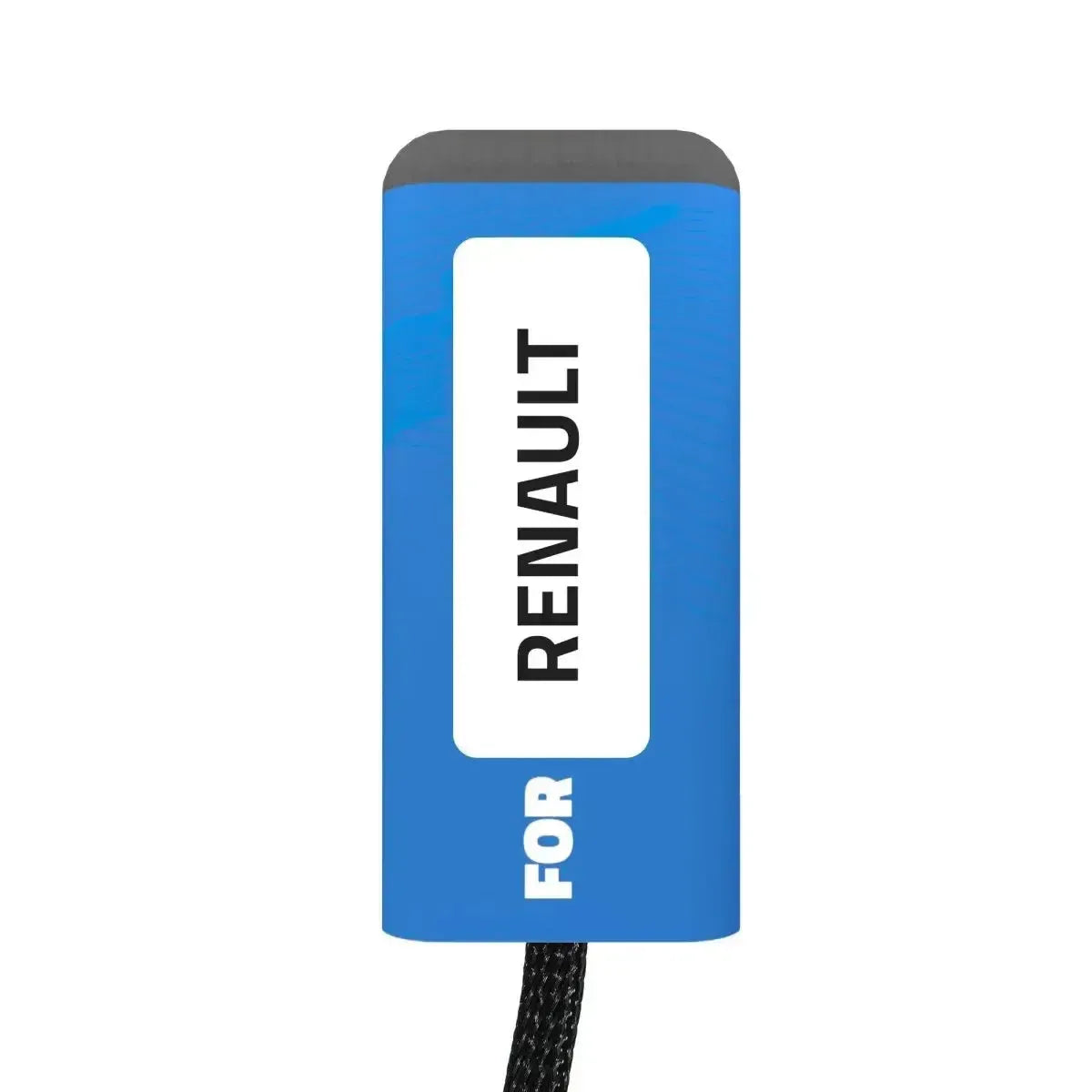 Renault AdBlue (SCR) Emulator Euro 6 Camión