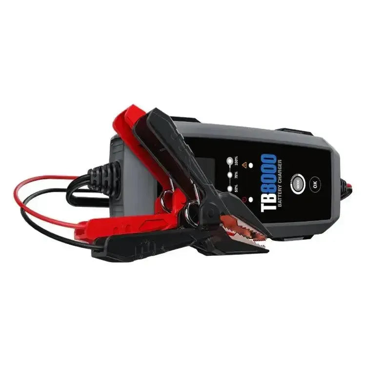 Topdon TB8000 | Cargador de mantenimiento