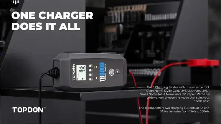 Topdon TB8000 | Cargador de mantenimiento
